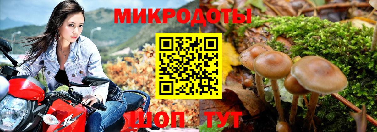 Псилоцибиновые грибы MAGIC MUSHROOMS Горно-Алтайск