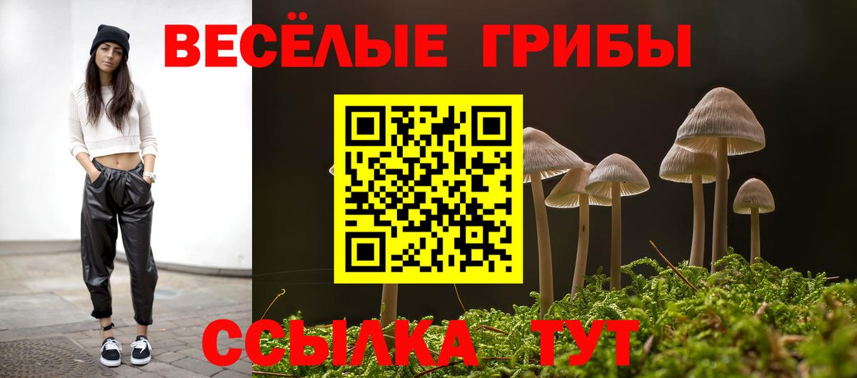 Горно-Алтайск  Псилоцибиновые грибы мухоморы  дарнет шоп  Вход с VPN 